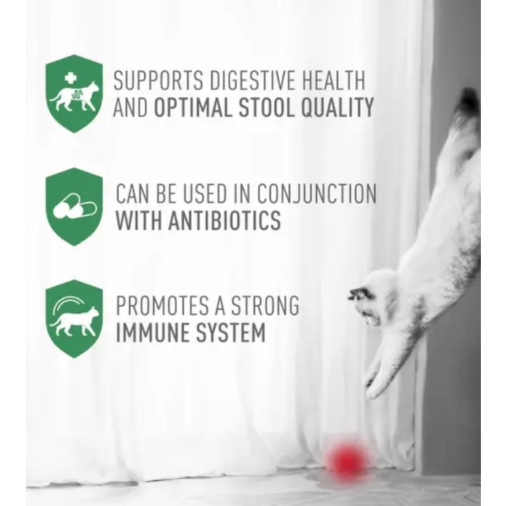 ROYAL CANIN Probiotics for cats - Picture 2 of 8